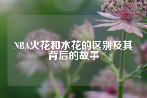 NBA火花和水花的区别及其背后的故事