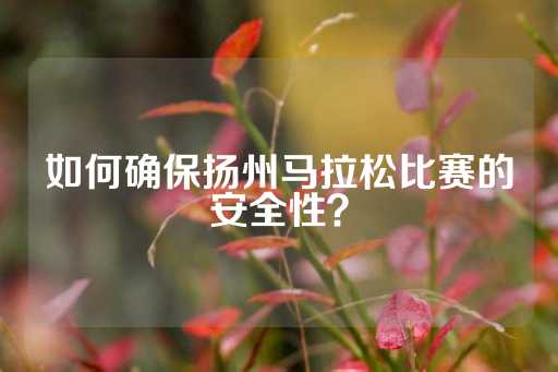 如何确保扬州马拉松比赛的安全性？