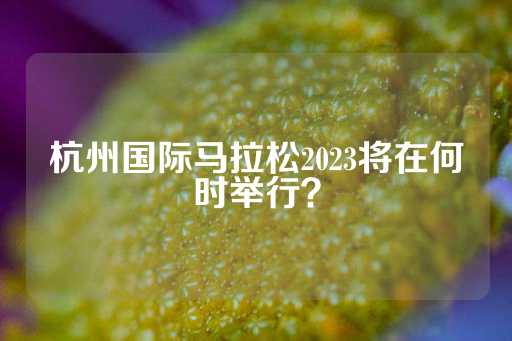 杭州国际马拉松2023将在何时举行？-第1张图片-皇冠信用盘出租