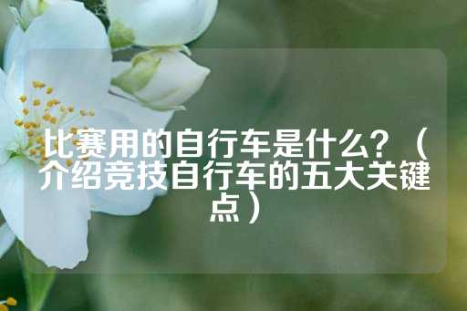 比赛用的自行车是什么？（介绍竞技自行车的五大关键点）-第1张图片-皇冠信用盘出租